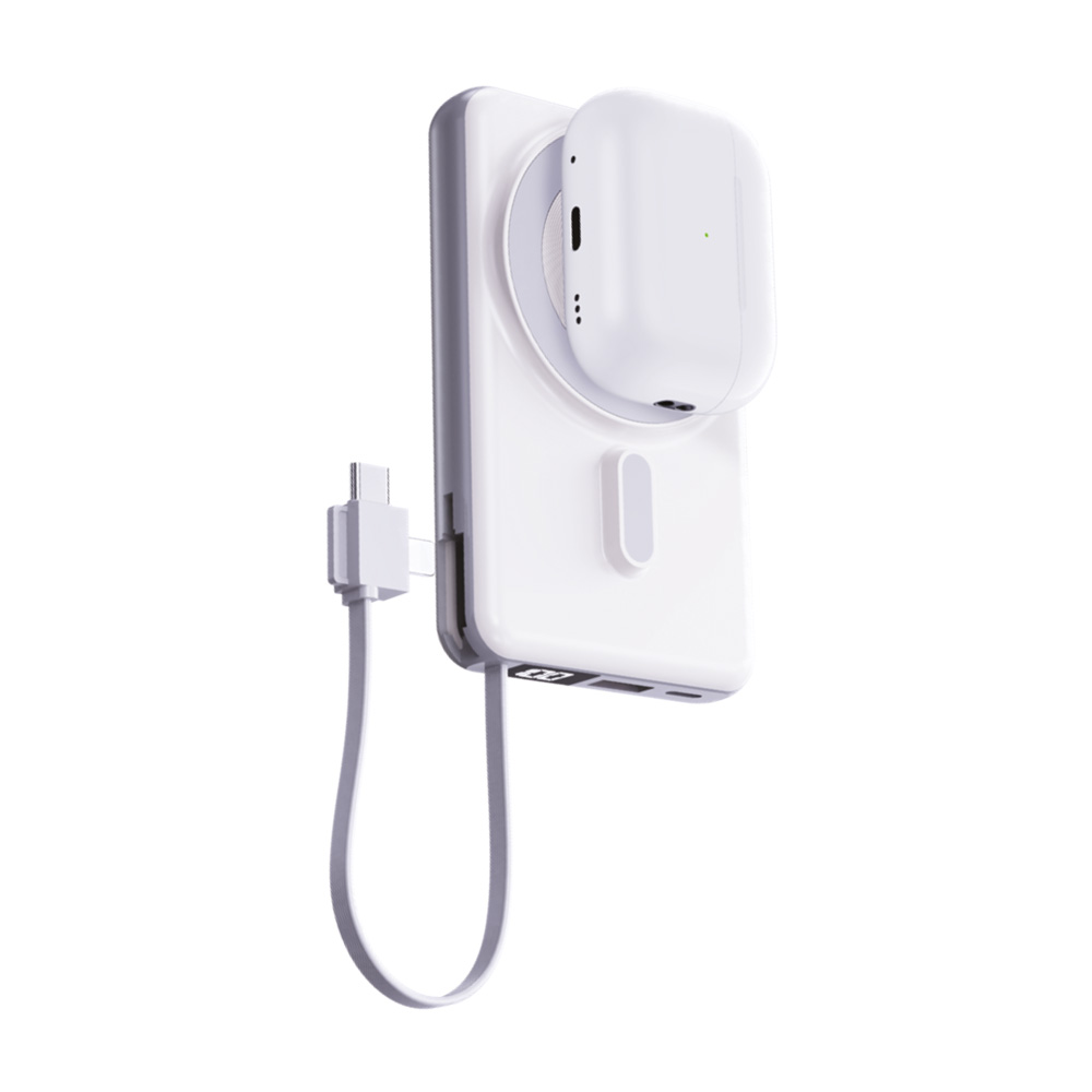 4638BYZ Powerbank